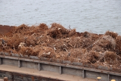 Amsterdam Scrap Terminal AST-9